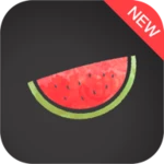 melon vpn android application logo